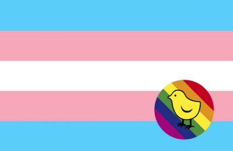 L'Ajuntament commemora el Dia Internacional de la Visibilitat Transgènere -Imatge 1-